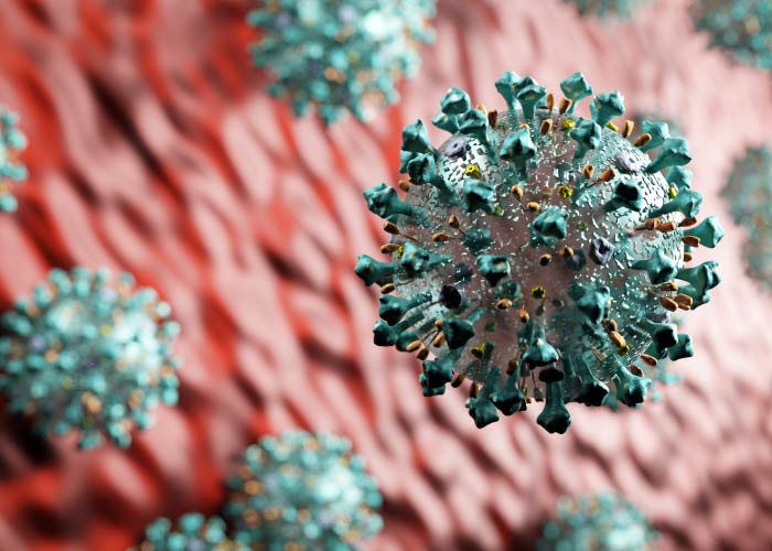 CRISIS DEL CORONAVIRUS